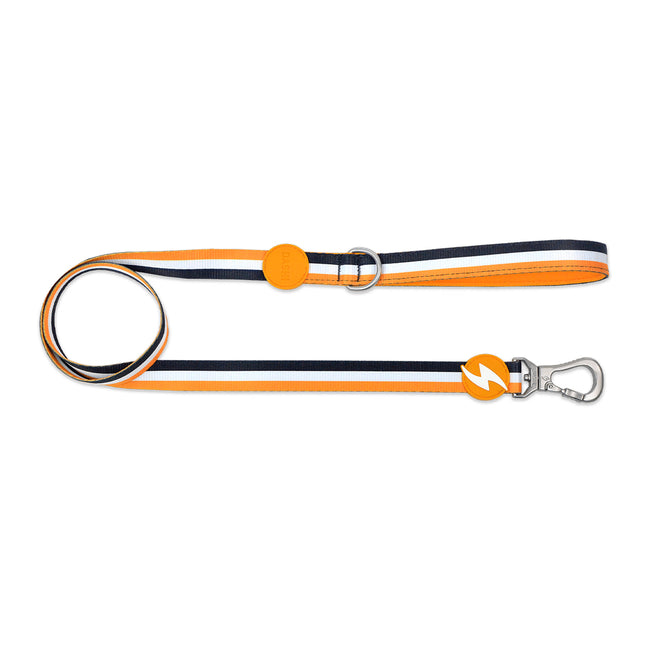 Dashi Stripes Orange & Black Leash 120cm - urban tape leash for dogs, stripes