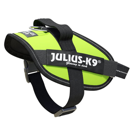 Julius - K9 IDC Powerharness - high-quality harness for dogs - Mini - Mini