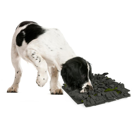 Flamingo Amigo Sniffing Carpet grey/green - rectangular sniffing mat for dogs - 40 - 50cm