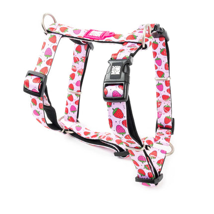 Max&Molly H - Harness Strawberry Dream - colorful harnesses for dogs and puppies, adjustable