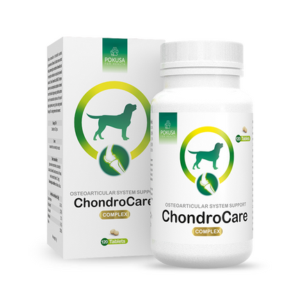 Pokusa ChondroCare 120 tablets - supplement supporting the function of the bone and joint system, with glucosamine, chondroitin, and boswellia extract.