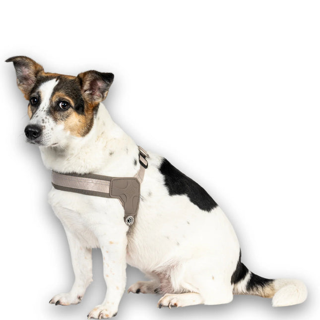 Max&Molly Q - Fit Harness Matrix 2.0 - lightweight step-in harness for dogs, with QR identifier, beige