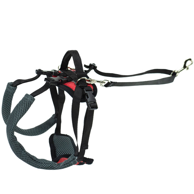 PetSafe CareLift Rear Support Harness - rear rehabilitation harness for dogs, hip harness