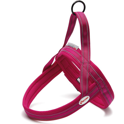 Record Action Dolomiti Harness - comfortable Scandinavian-style harness for dogs