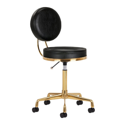 Activ H5 Gold Black - gold grooming chair with height adjustment, black