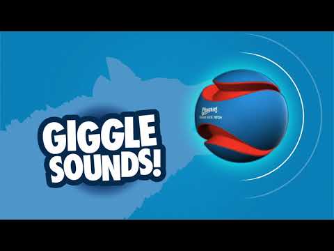 Chuckit! Giggle Kick Fetch - indestructible squeaky ball for dogs