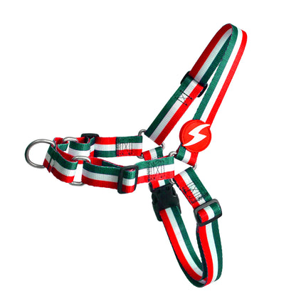 Dashi Stripes Green & Red Front Harness - Norwegian harness for dogs, no-pull, green and red stripes