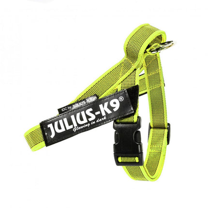 Julius - K9 Color & Gray Belt Harness Neon - dog harness, neon