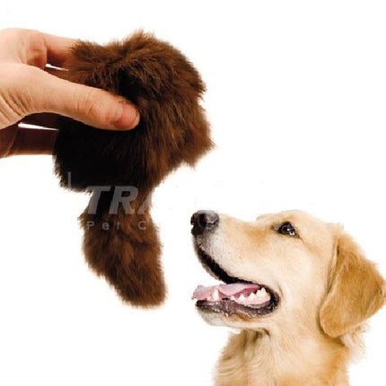 Show Tech squeaky toy for dogs, perfect for the ring and exhibitions