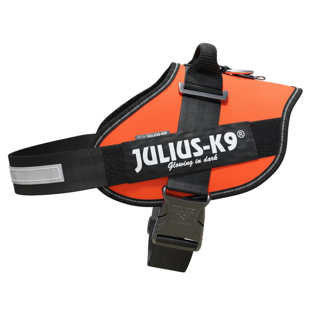 Julius - K9 IDC Powerharness UV - high-quality harness for dogs - Size: