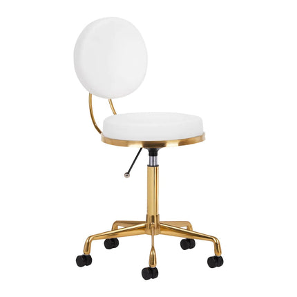 Activ H5 Gold White - gold grooming chair with height adjustment, white