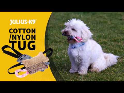 Julius - K9 Cotton Tug One Hand - sturdy tug toy for dogs with a non-slip handle