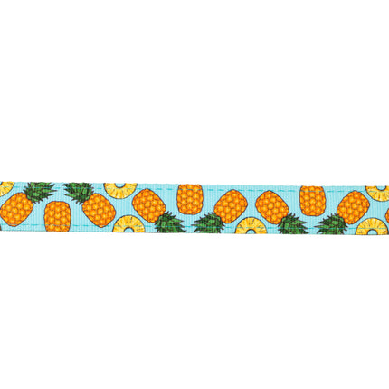 Max&Molly GOTCHA! Smart ID Cat Collar Sweet Pineapple - colorful collar for cats with a smart Tag pendant