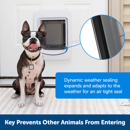 PetSafe SmartDoor Connected Pet Door - pet door for dogs and cats with chip, Wi-Fi, mobile app