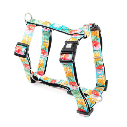 Max&Molly H - Exotique Harness - colorful harness for dogs and puppies, adjustable