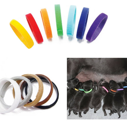 Doogy - colorful identification collars for puppies 12pcs