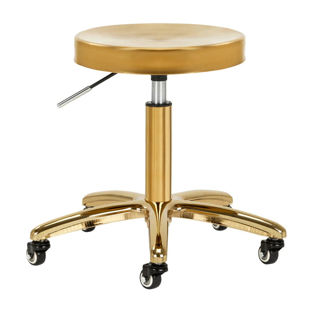 Activ AM - 863 - grooming stool, metal seat, height adjustment