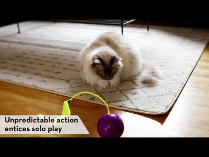 KONG Cat Purrsuit Whirlwind - interactive toy for cats, moving ball with a tail