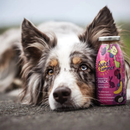 SmoothieDog Sweet Summer - smoothie for dogs, rabbit with vegetables and fruits