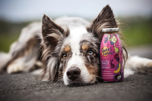 SmoothieDog Sweet Summer - smoothie for dogs, rabbit with vegetables and fruits