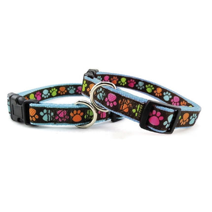 Record Zampine Collar - dog collar with colorful paw prints