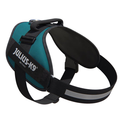 Julius - K9 IDC Powerharness Petrol Green - high-quality harness for dogs, sea green color