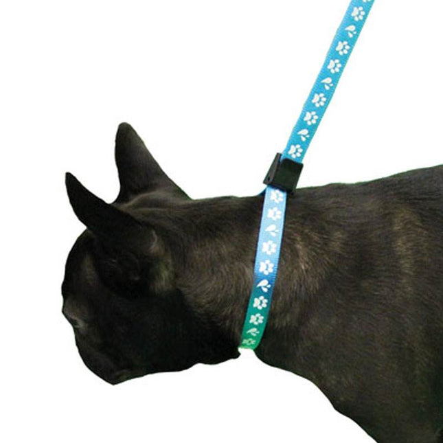 Groom Professional Amoz Pro 40cm - nylon grooming leash with white paw print design, blue, wide