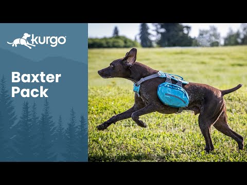 Kurgo Baxter Backpack 3.75L - saddlebags for medium and large dogs