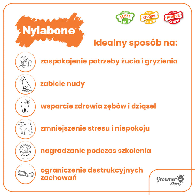 Nylabone Moderate Chicken - flexible chew toy for small dogs, chicken flavor