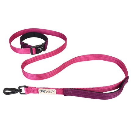 Hamilton Go Boldly Get Out & GO Leash 25mm - adjustable length nylon leash