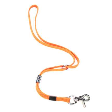 Blovi nylon grooming leash for a grooming arm