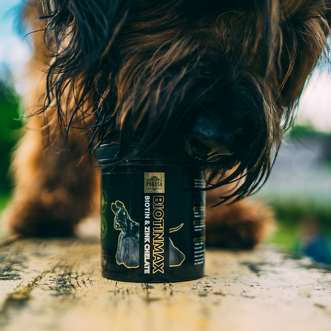 Pokusa DiamondCoat Biotin Max - dietary supplement improving the condition of your dog's skin and coat