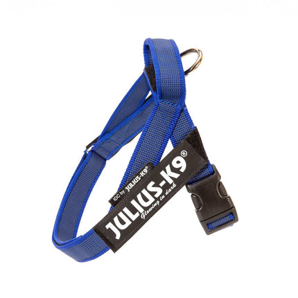 Julius - K9 IDC Color & Gray Belt Harness - harness for dogs - Mini - Mini