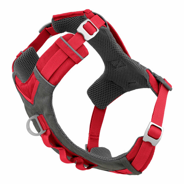 Kurgo Journey Air Harness - running harness for dogs