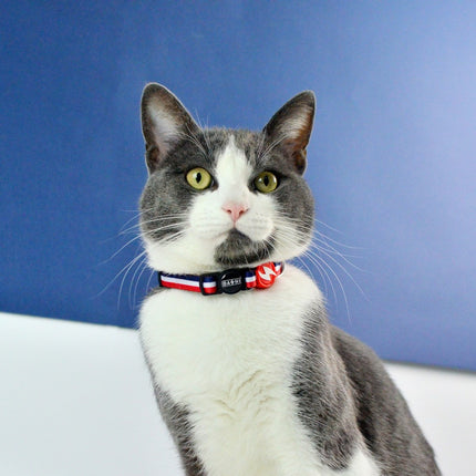 Dashi Stripes Red & Blue Cat Collar - red and blue striped collar for cats