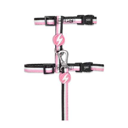 Dashi Stripes Pink & Black Cat Harness + Leash - harness and leash for cats, set, pink and black stripes