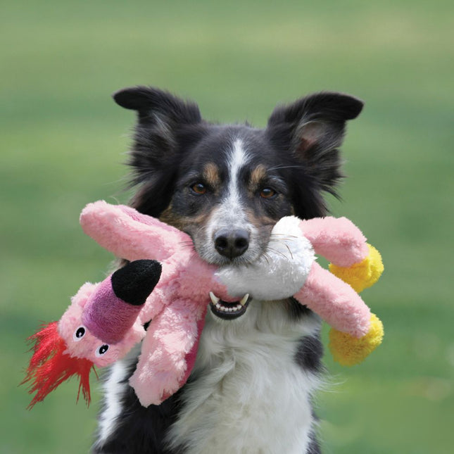 KONG Wild Knots Birds Eagle - eagle toy for dogs, with internal rope and squeaker