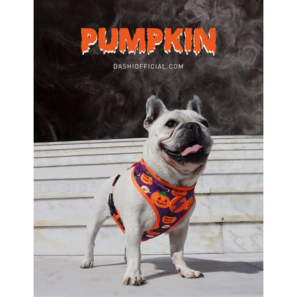 Dashi Pumpkin Neo Mesh Harness - no-pull, reversible dog harness with Halloween pumpkin pattern