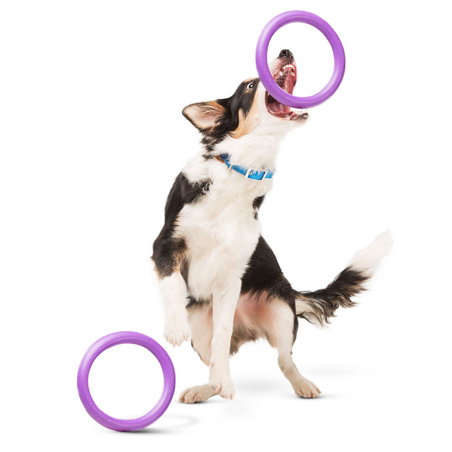 Puller Mini 18cm 2pcs - ring for small dogs, training toy