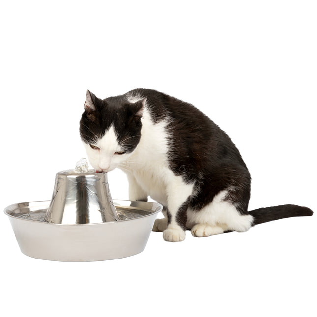 PetSafe Seaside Stainless Pet Fountain 1.8L - fountain for cats and dogs, made of stainless steel