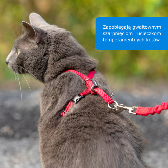 PetSafe Easy Walk Cat Harness - harness and bungee leash for cats