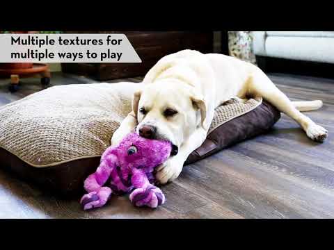 KONG SoftSeas Crab - plush toy for dogs, crab with squeaker