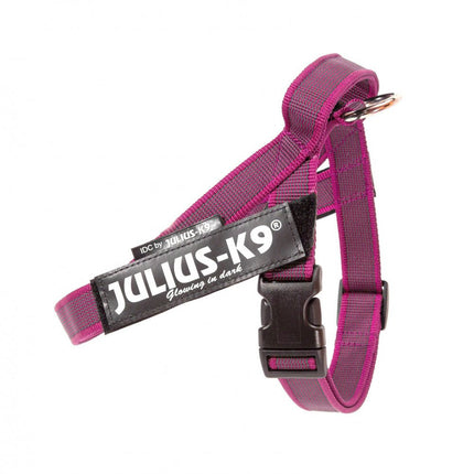 Julius - K9 IDC Color&Gray Belt Harness Pink - belt harness, dog harness, fuchsia