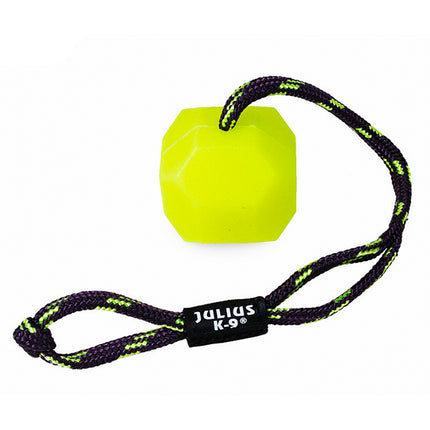 Julius K9 Fluorescent Ball - fluorescent toy with a rope and a treat opening