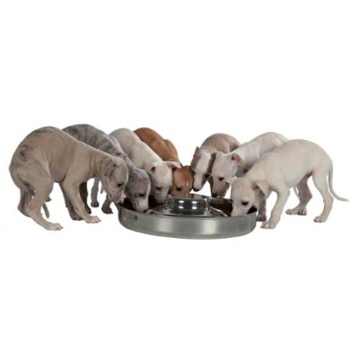 Show Tech large puppy feeding bowl