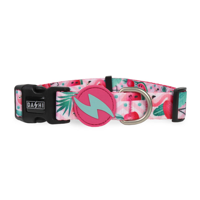 Dashi Flamingo Collar - colorful dog collar, flamingo pattern