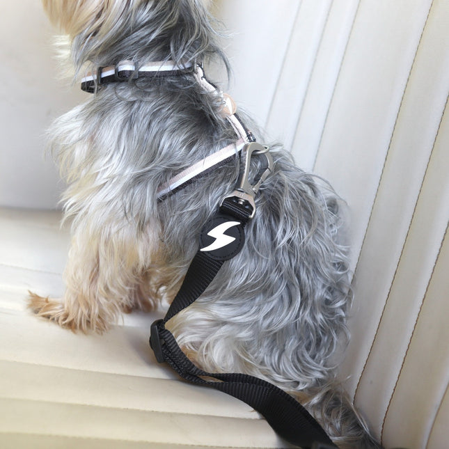 Dashi Solid Seat Belt - car leash, dog seat belt