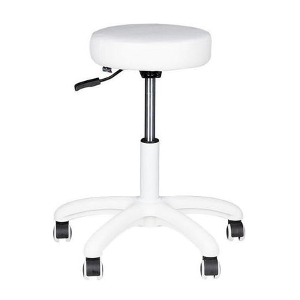 Activ AM - 303 - grooming stool on a base, with height adjustment