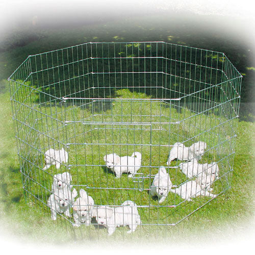 Show Tech X Pen Size 1 - Metal Puppy Playpen, Dog Fence, 8 Panel Height