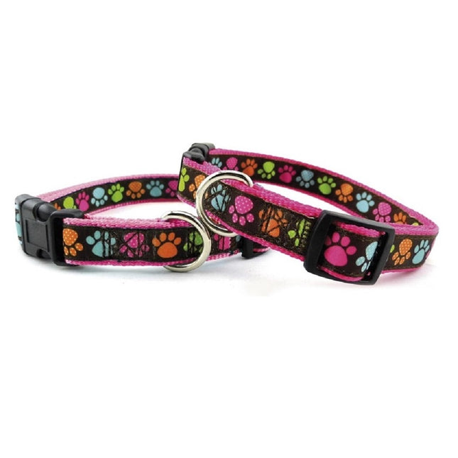 Record Zampine Collar - dog collar with colorful paw prints